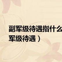 副军级待遇指什么（副军级待遇）