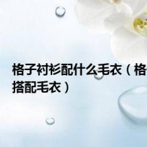 格子衬衫配什么毛衣(格子衬衫搭配毛衣)