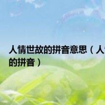 人情世故的拼音意思(人情世故的拼音)