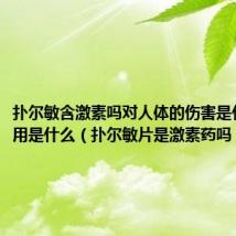 扑尔敏含激素吗对人体的伤害是什么副作用是什么(扑尔敏片是激素药吗)