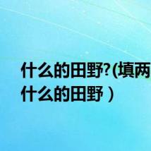 什么的田野?(填两字)（什么的田野）