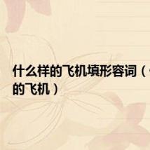 什么样的飞机填形容词(什么样的飞机)