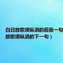 白日放歌须纵酒的后面一句(白日放歌须纵酒的下一句)