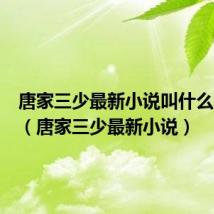 唐家三少最新小说叫什么时候出(唐家三少最新小说)