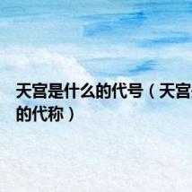 天宫是什么的代号(天宫是什么的代称)