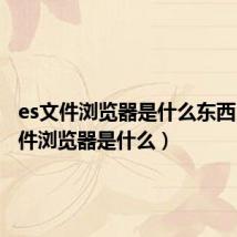es文件浏览器是什么东西(es文件浏览器是什么)