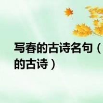 写春的古诗名句（写春的古诗）