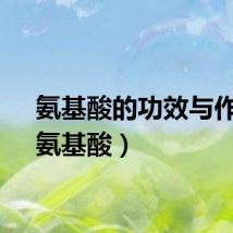 氨基酸的功效与作用（氨基酸）
