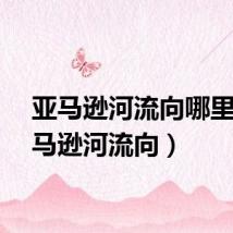 亚马逊河流向哪里（亚马逊河流向）