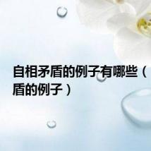 自相矛盾的例子有哪些(自相矛盾的例子)