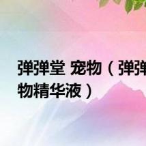 弹弹堂 宠物（弹弹堂宠物精华液）