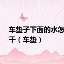 车垫子下面的水怎么弄干（车垫）