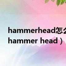 hammerhead怎么读(hammer head)