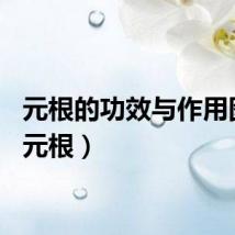 元根的功效与作用图片（元根）