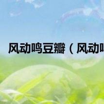 风动鸣豆瓣（风动鸣）