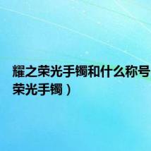 耀之荣光手镯和什么称号(耀之荣光手镯)