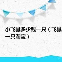 小飞鼠多少钱一只(飞鼠多少钱一只淘宝)