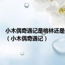 小木偶奇遇记是格林还是安徒生(小木偶奇遇记)