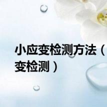 小应变检测方法（小应变检测）