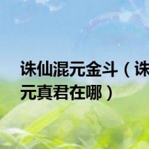 诛仙混元金斗(诛仙混元真君在哪)