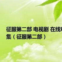 征服第二部 电视剧 在线观看全集(征服第二部)