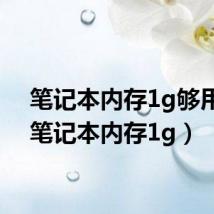 笔记本内存1g够用吗(笔记本内存1g)