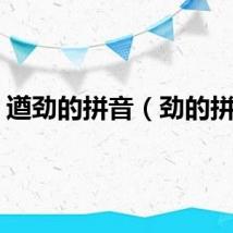 遒劲的拼音（劲的拼音）