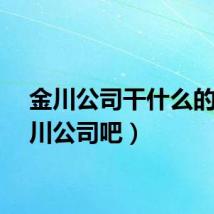 金川公司干什么的（金川公司吧）