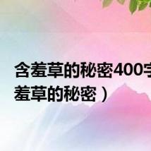 含羞草的秘密400字(含羞草的秘密)