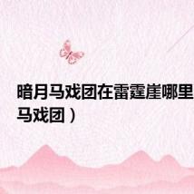 暗月马戏团在雷霆崖哪里(暗月马戏团)