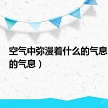 空气中弥漫着什么的气息(什么的气息)
