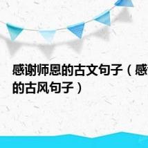 感谢师恩的古文句子(感谢师恩的古风句子)