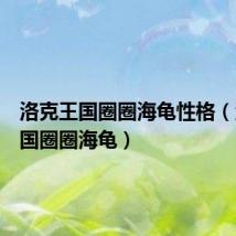 洛克王国圈圈海龟性格(洛克王国圈圈海龟)