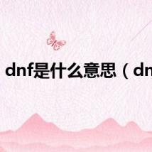 dnf是什么意思(dnfs)
