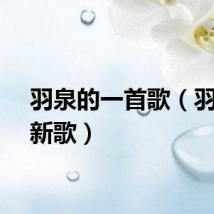 羽泉的一首歌（羽泉的新歌）