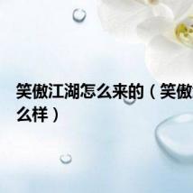 笑傲江湖怎么来的（笑傲江湖怎么样）