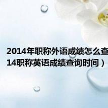 2014年职称外语成绩怎么查询(2014职称英语成绩查询时间)
