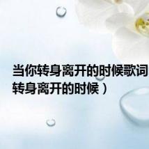 当你转身离开的时候歌词(当你转身离开的时候)