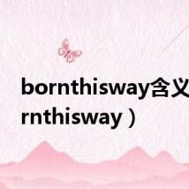 bornthisway含义(bornthisway)