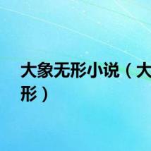大象无形小说（大象无形）