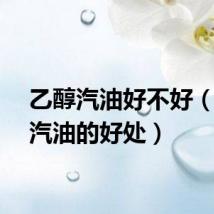 乙醇汽油好不好（乙醇汽油的好处）