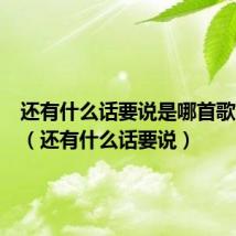 还有什么话要说是哪首歌的歌词(还有什么话要说)