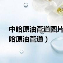 中哈原油管道图片（中哈原油管道）