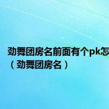 劲舞团房名前面有个pk怎么弄得(劲舞团房名)