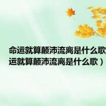 命运就算颠沛流离是什么歌曲(命运就算颠沛流离是什么歌)