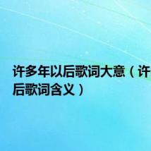 许多年以后歌词大意(许多年以后歌词含义)