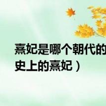 熹妃是哪个朝代的（历史上的熹妃）