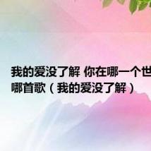 我的爱没了解 你在哪一个世界这是哪首歌(我的爱没了解)