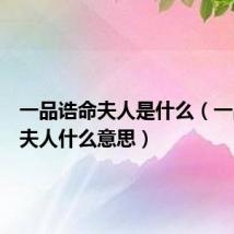 一品诰命夫人是什么(一品诰命夫人什么意思)