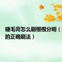 睫毛膏怎么刷根根分明(睫毛膏的正确刷法)